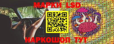 молекула духа Краснознаменск