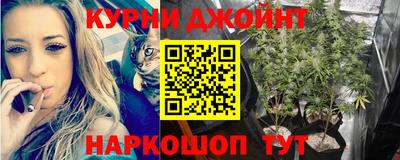 молекула духа Краснознаменск
