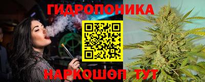 молекула духа Краснознаменск