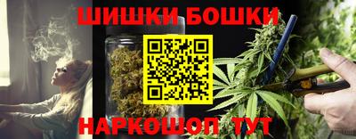 гашик Краснодар